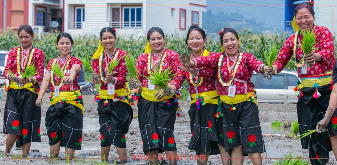 ‘असारै मासको रिमझिम पानी, हिलोमा हरायो हाम्रो त जवानी’ (तस्बिरहरू)