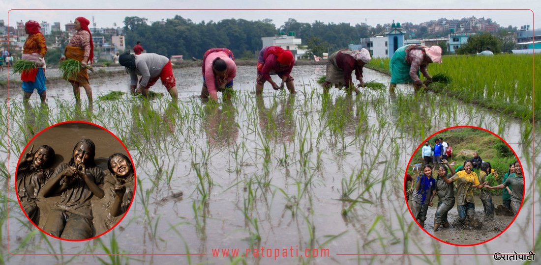 २० तस्बिरमा हेर्नुहाेस् रोपाइँ महोत्सव