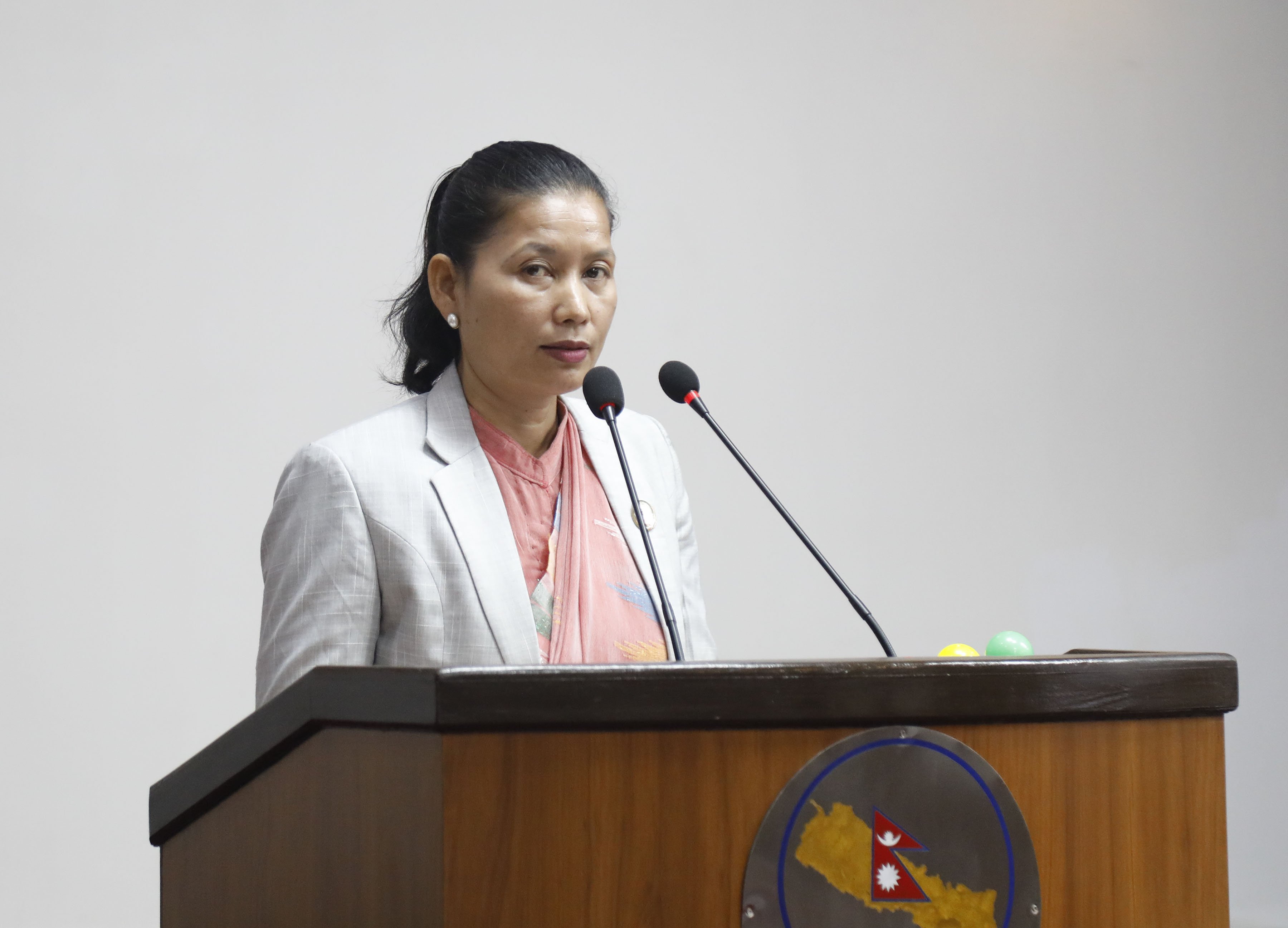 National Assembly Member Roshani Mechhe Criticizes Federal Government's Administrative Burden