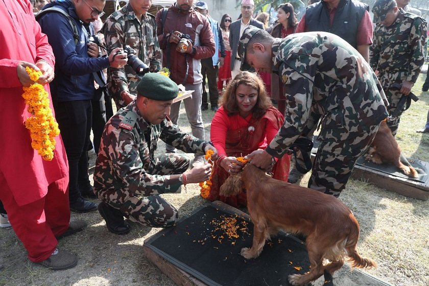 भैरव बहान गुल्ममा मनाइयो कुकुर तिहार