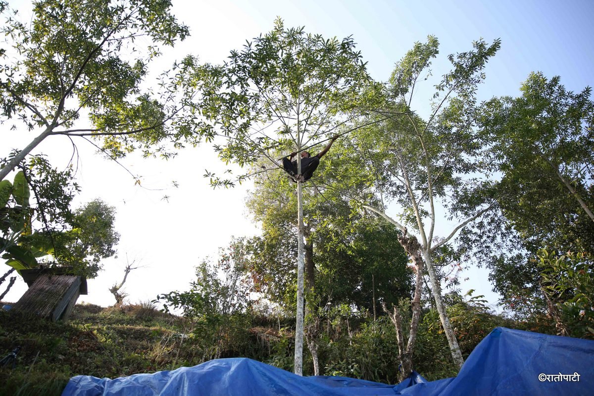 Rudrakshya_Bhojpur_NPL_BSG_0247