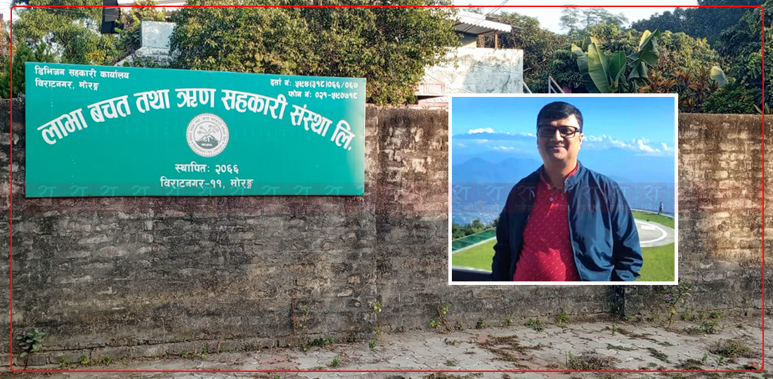 सरकारीको आम्दानी देखाउन नक्कली विवरण प्रविष्ट