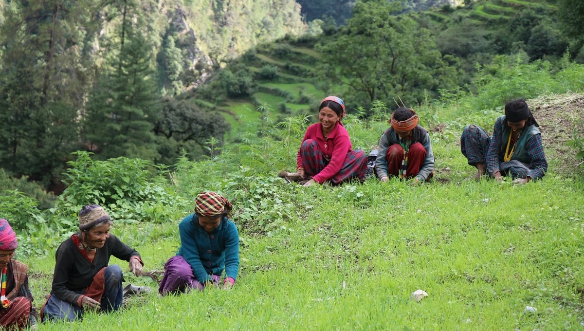   साइपालका बासिन्दाको आकाङ्क्षा : चाडपर्वमा एक बोरा चामल र नुन सहजै पाए हुन्थ्यो