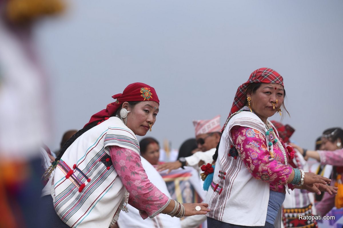 sakela (1)