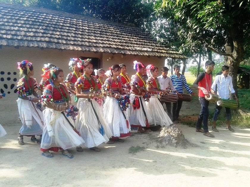 सखिया नाचमा झुम्दै कञ्चनपुरका थारु बस्ती