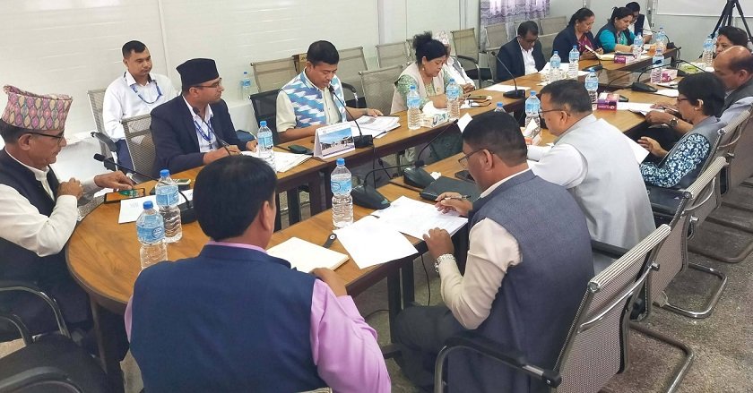बागमती सरकारलाई निजी अस्पतालको विवरण पेस गर्न निर्देशन