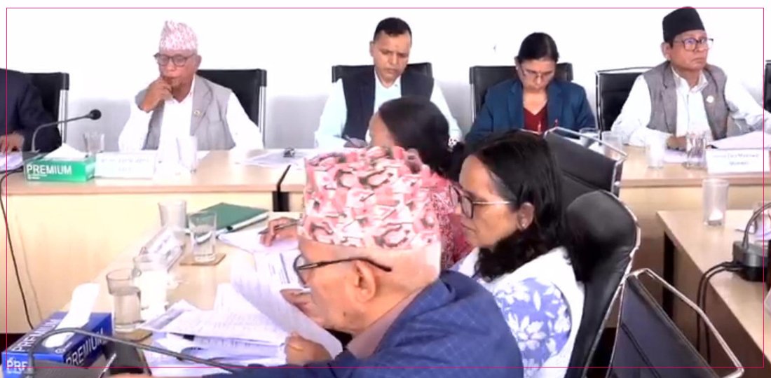 नागरिकता विधेयकमा २५ जना सांसदले दिए संशोधन प्रस्ताव