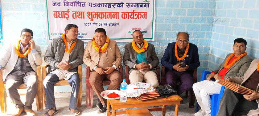 नेपाल पत्रकार महासंघमा निर्वाचित भएकाहरूलाई मधेश प्रदेश कांग्रेसद्वारा सम्मान