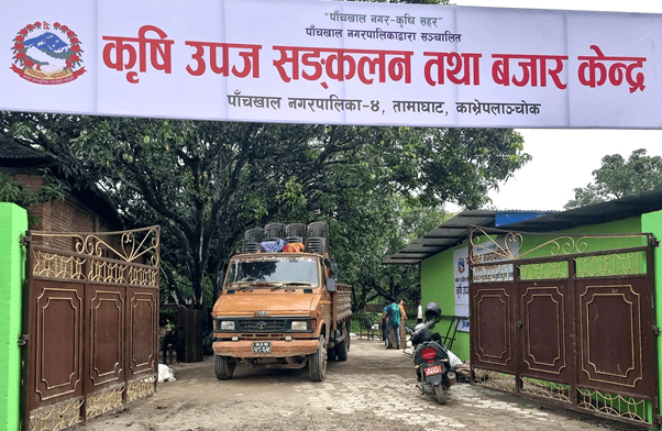 पाँचखालमा ‘विषादीरहित’ तरकारी सङ्कलन केन्द्र सञ्चालन