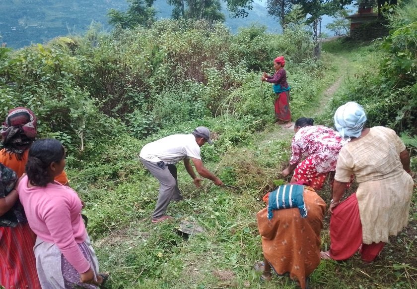   दसैँ नजिकिएसँगै चिटिक्क पारिँदै गाउँ