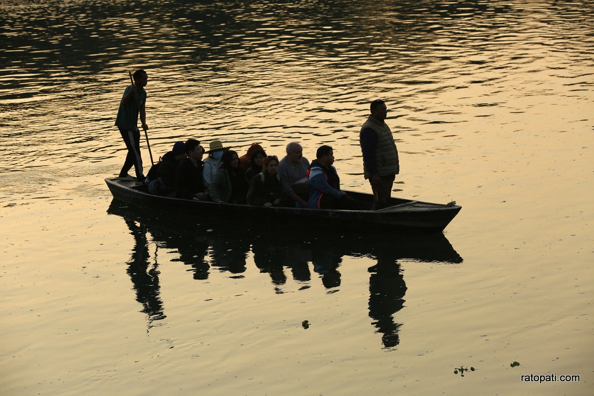 sauraha safari (11)