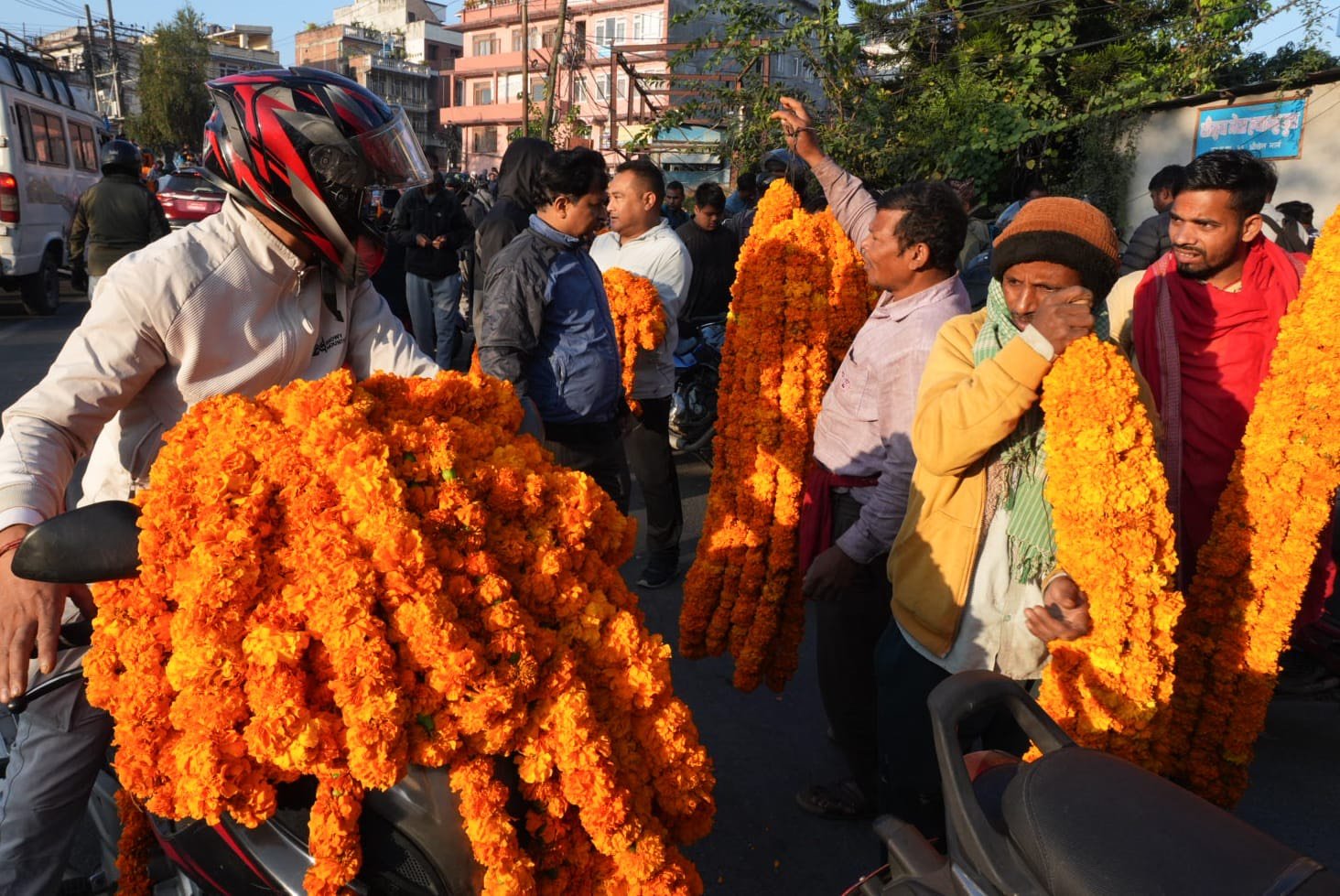 sayapatri flower (1)