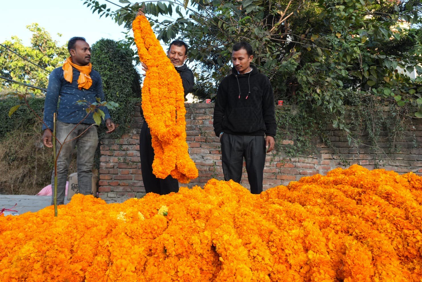 sayapatri flower (10)