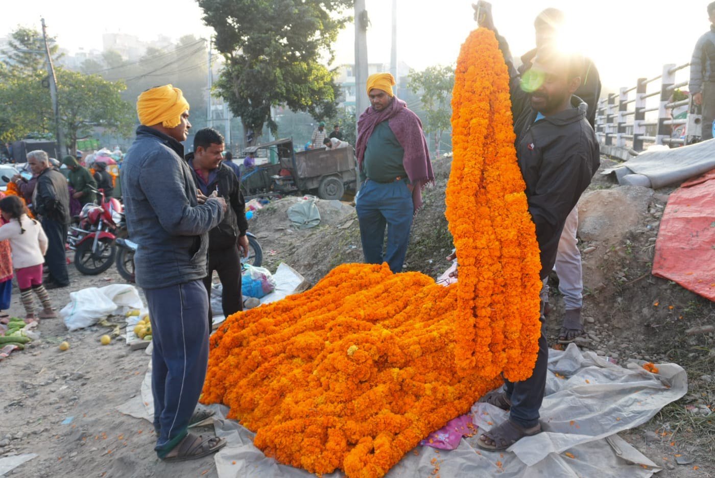 sayapatri flower (2)