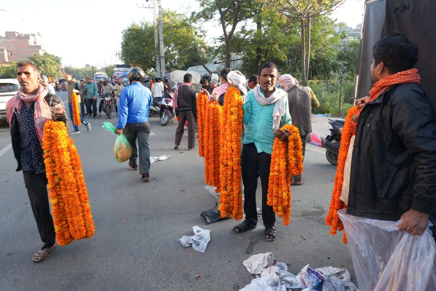 sayapatri flower (4)