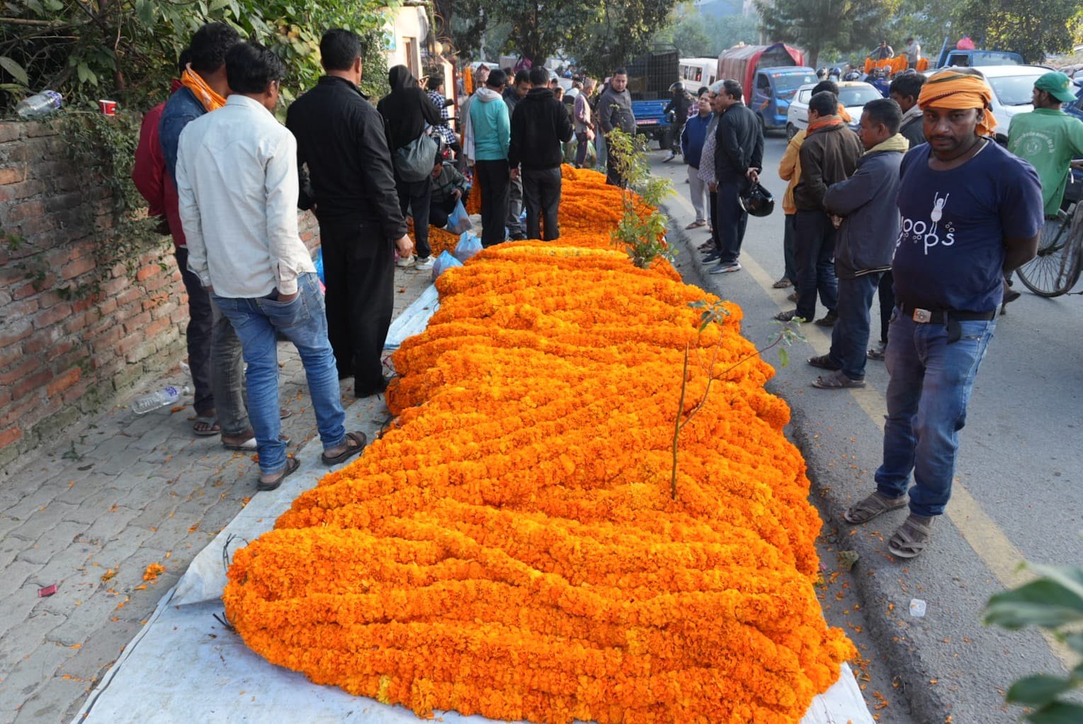 sayapatri flower (5)