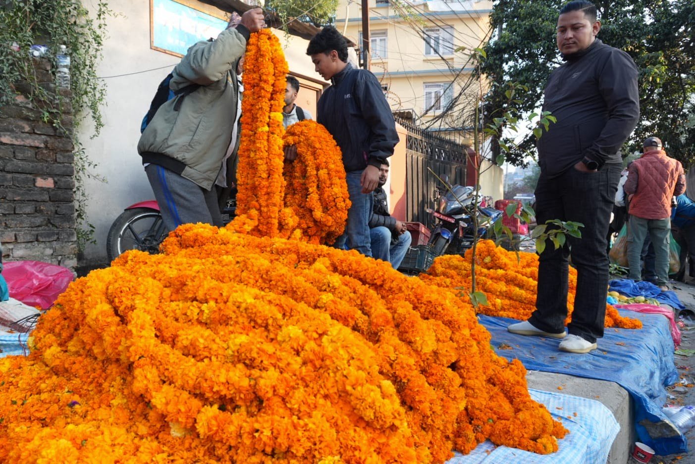 sayapatri flower (6)