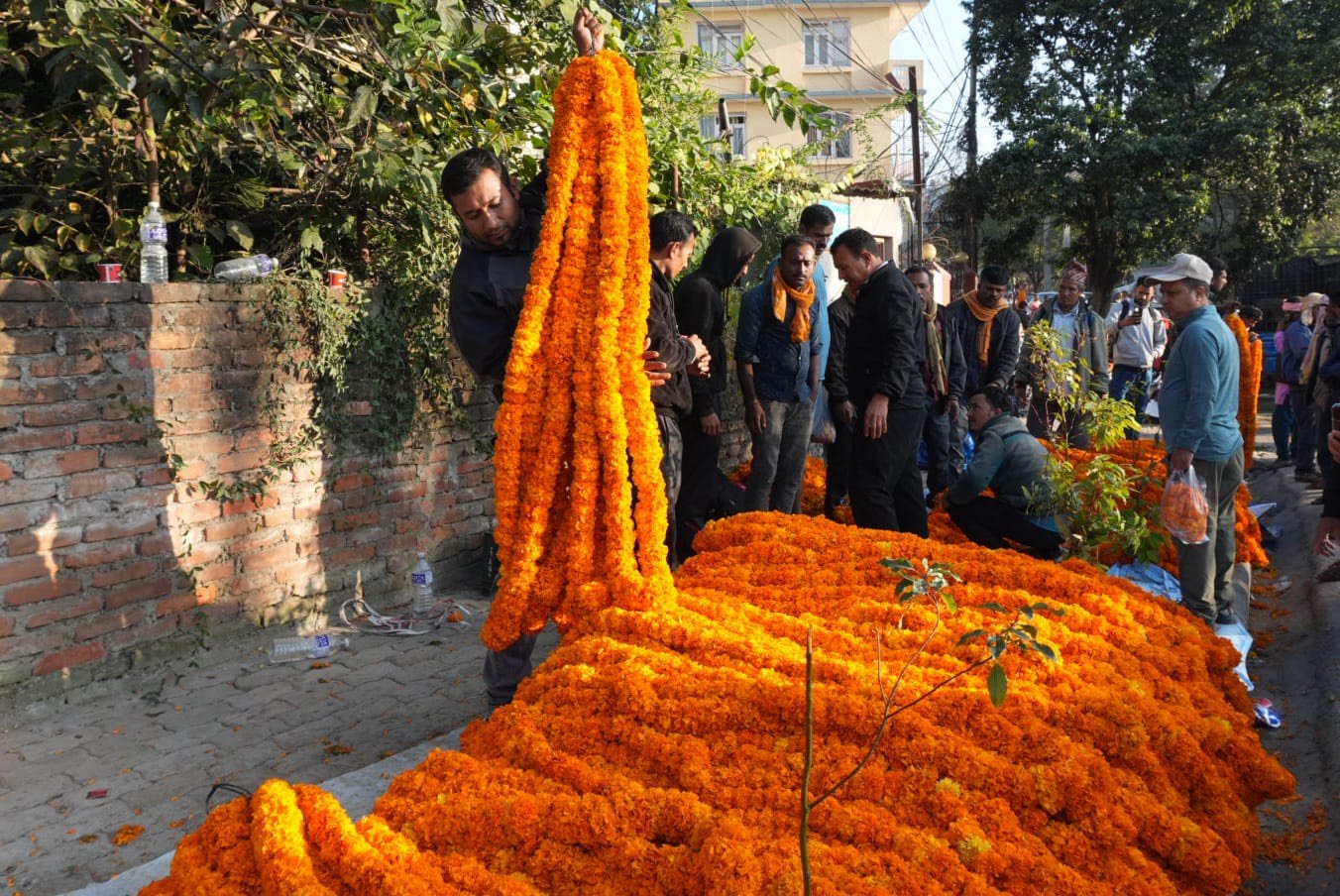 sayapatri flower (7)