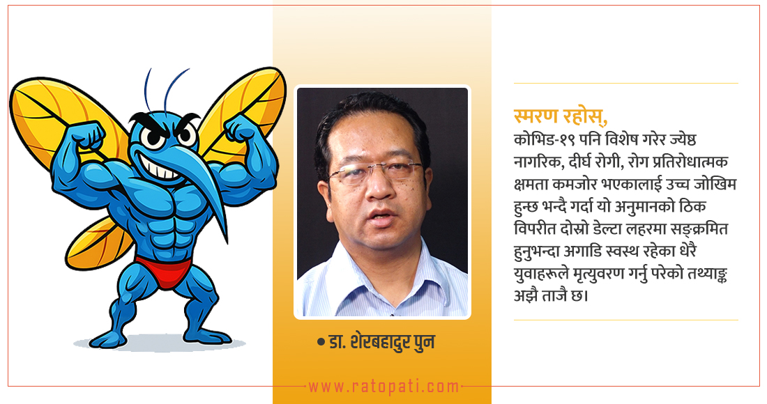   काठमाडौँमा देखियो घातक डेंगु