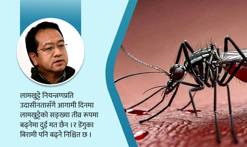   डेंगुप्रतिको दृष्टिकोणमा ‘बिग ट्विस्ट’ देखिएको छ