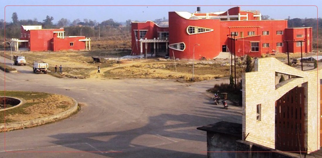 सातै प्रदेशमा सेज स्थापनाको तयारी, पाँचखालमा भैँसी पाल्ने योजना