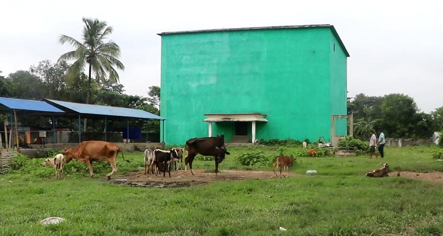 गौशालामा परिणत हुँदै भद्रपुर शीत भण्डार, साढे तीन करोडभन्दा बढी रकम अलपत्र