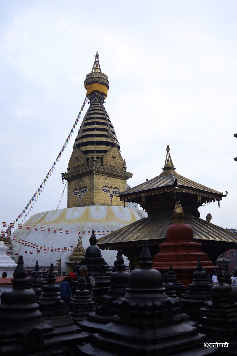 shambhu (15)