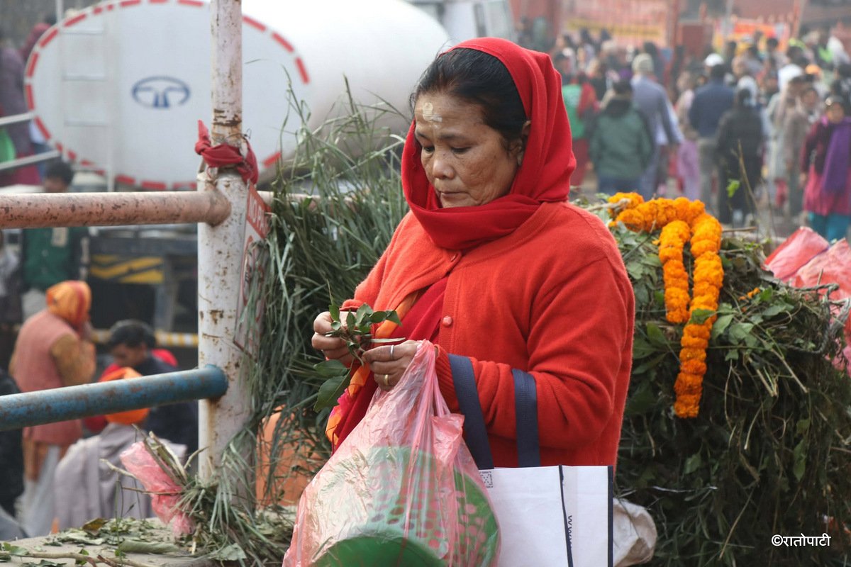 shavaratri pashupati (16)