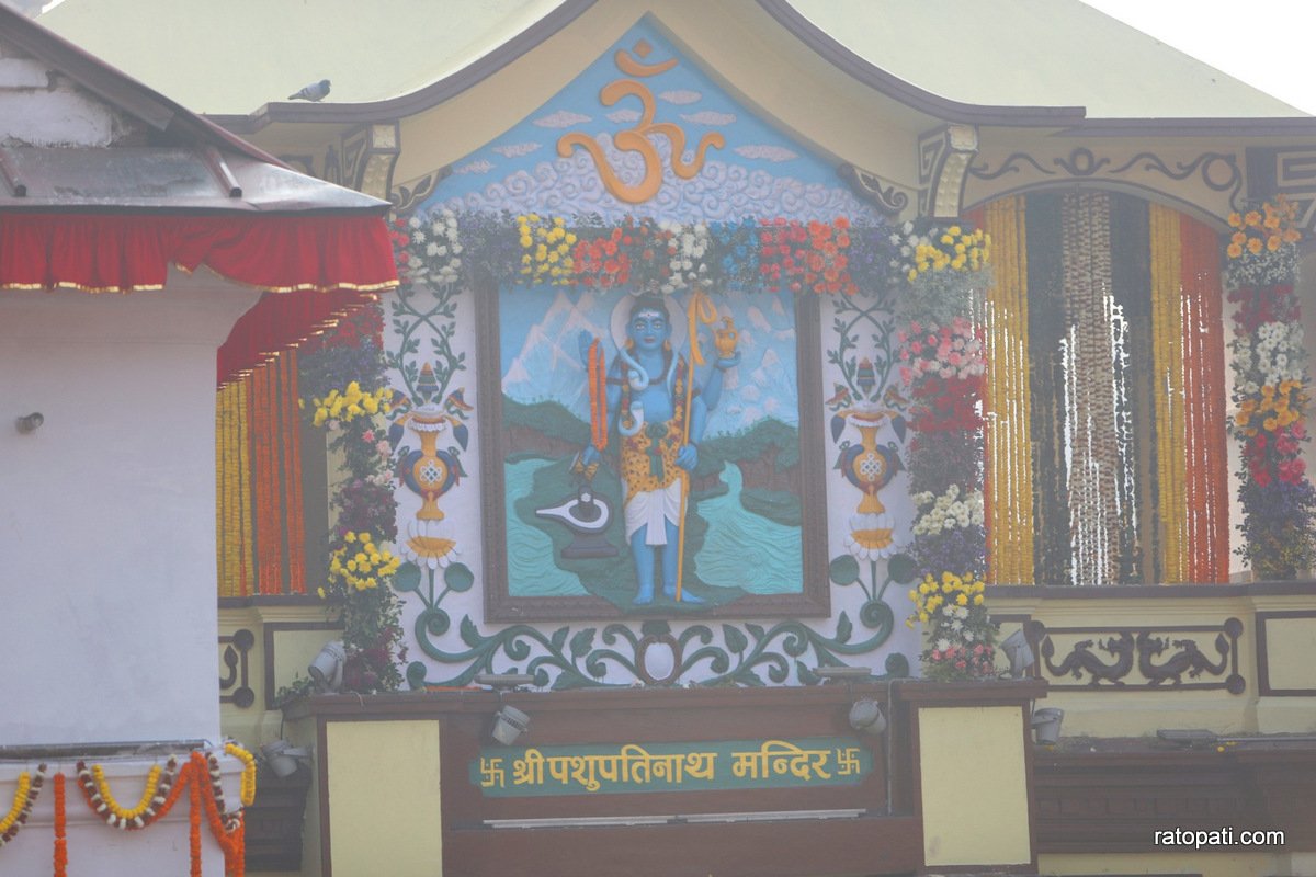 shivaratri pashupati (4)