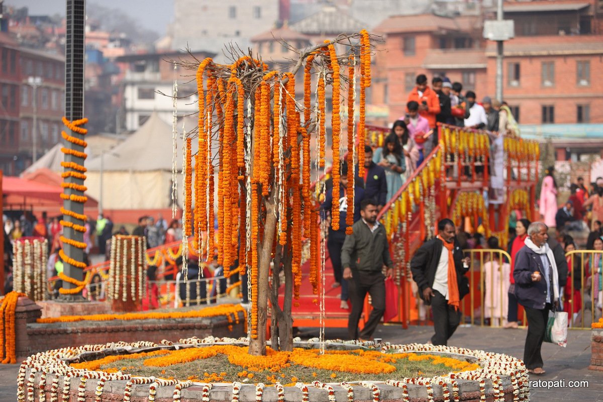 shivaratri pashupati (7)