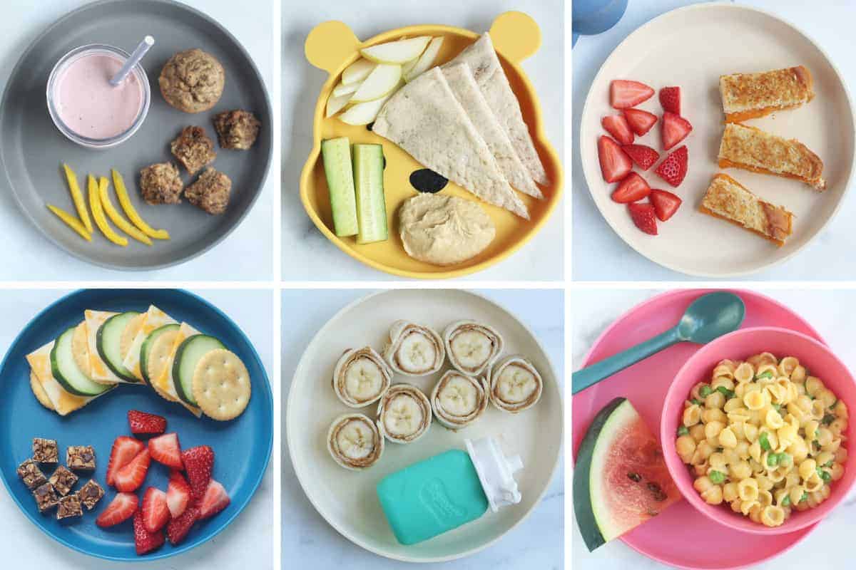 shortcut-toddler-meals-featured-1
