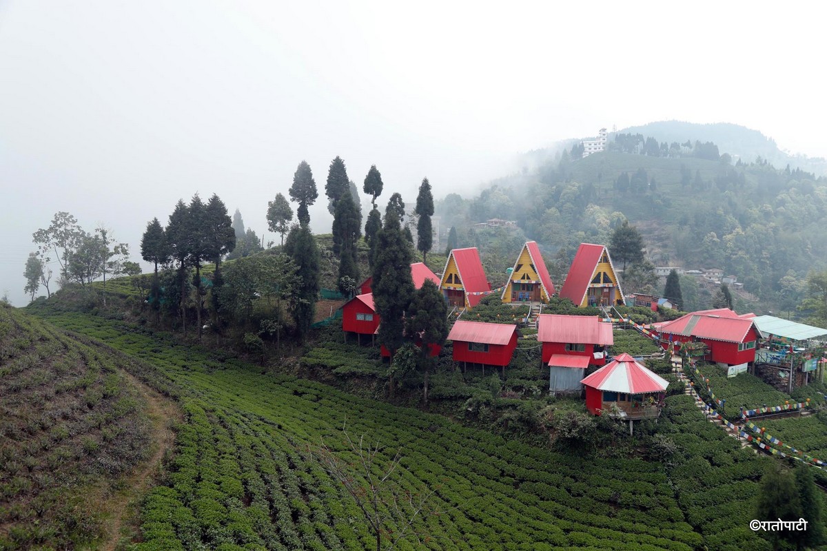 झुल्के घाम हेर्न कान्छी जौँ अन्तु डाँडैमा...