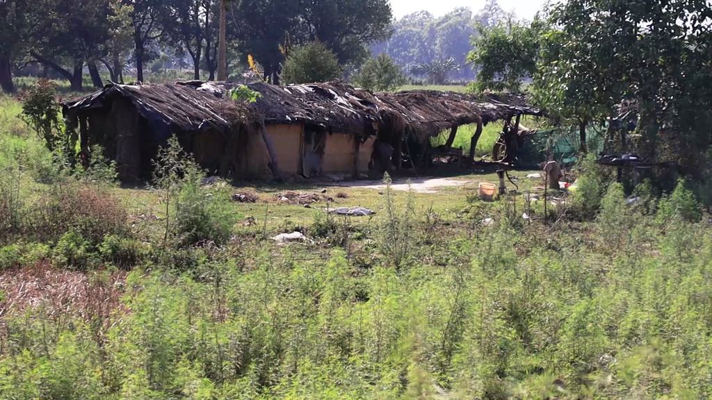 shuklaphata bistapit (2)