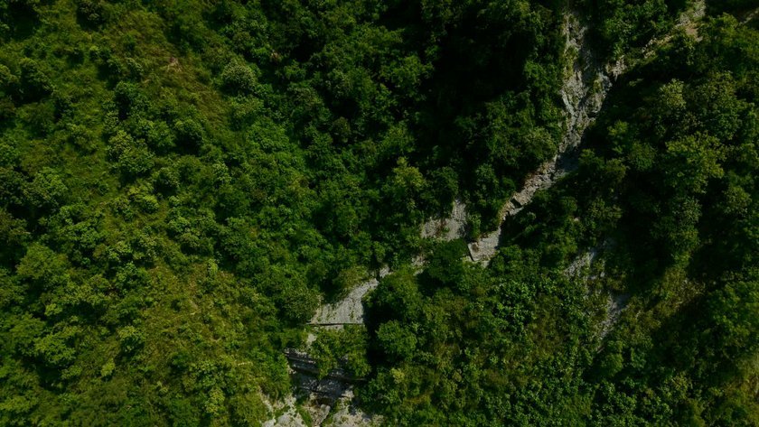 simaltal- (9)