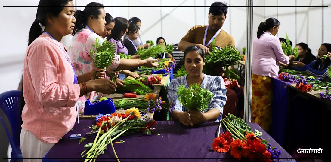 काठमाडौँ महानगरकाे सीप मेलामा युवाहरूको आकर्षण (तस्बिरहरू)