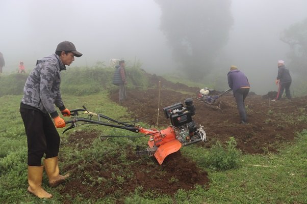   तेह्रथुमका किसान व्यावसायिक रूपमा सिस्नुखेती गर्दै