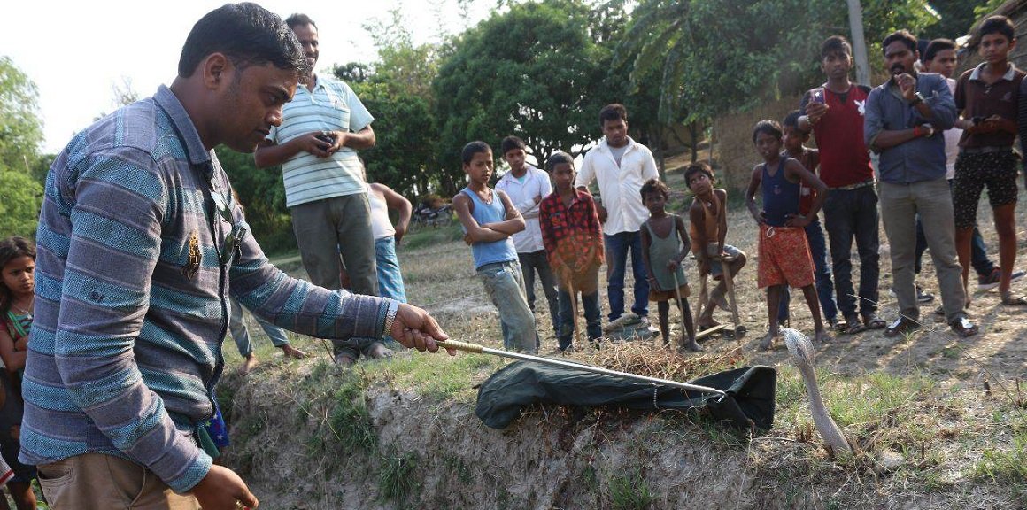 सर्पको टोकाइबाट बर्सेनि ३ हजारको मृत्यु, उपचार केन्द्र सहर केन्द्रित