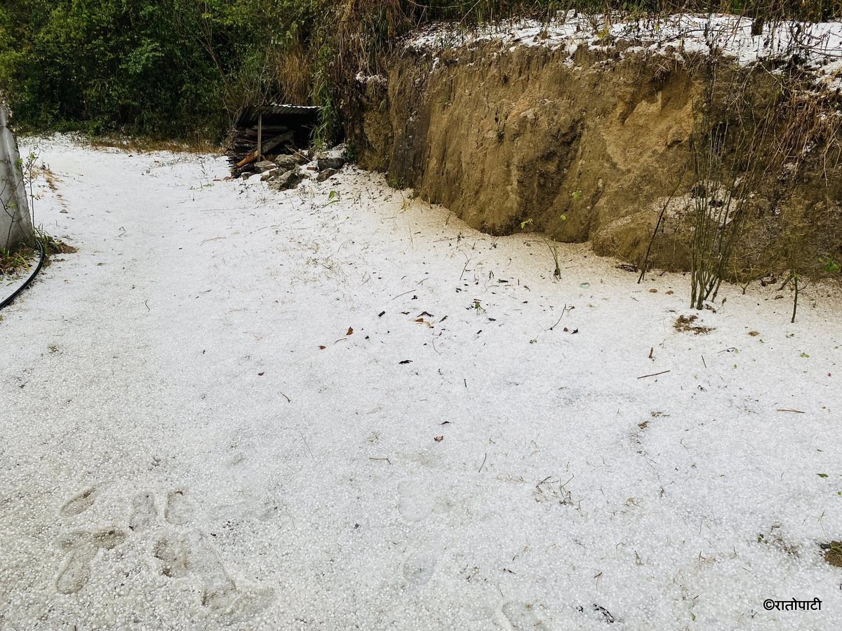 snow (3)
