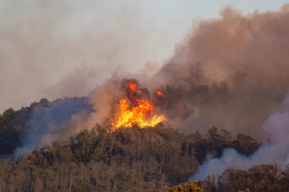 12 Dead in Southeastern Spain Wildfire