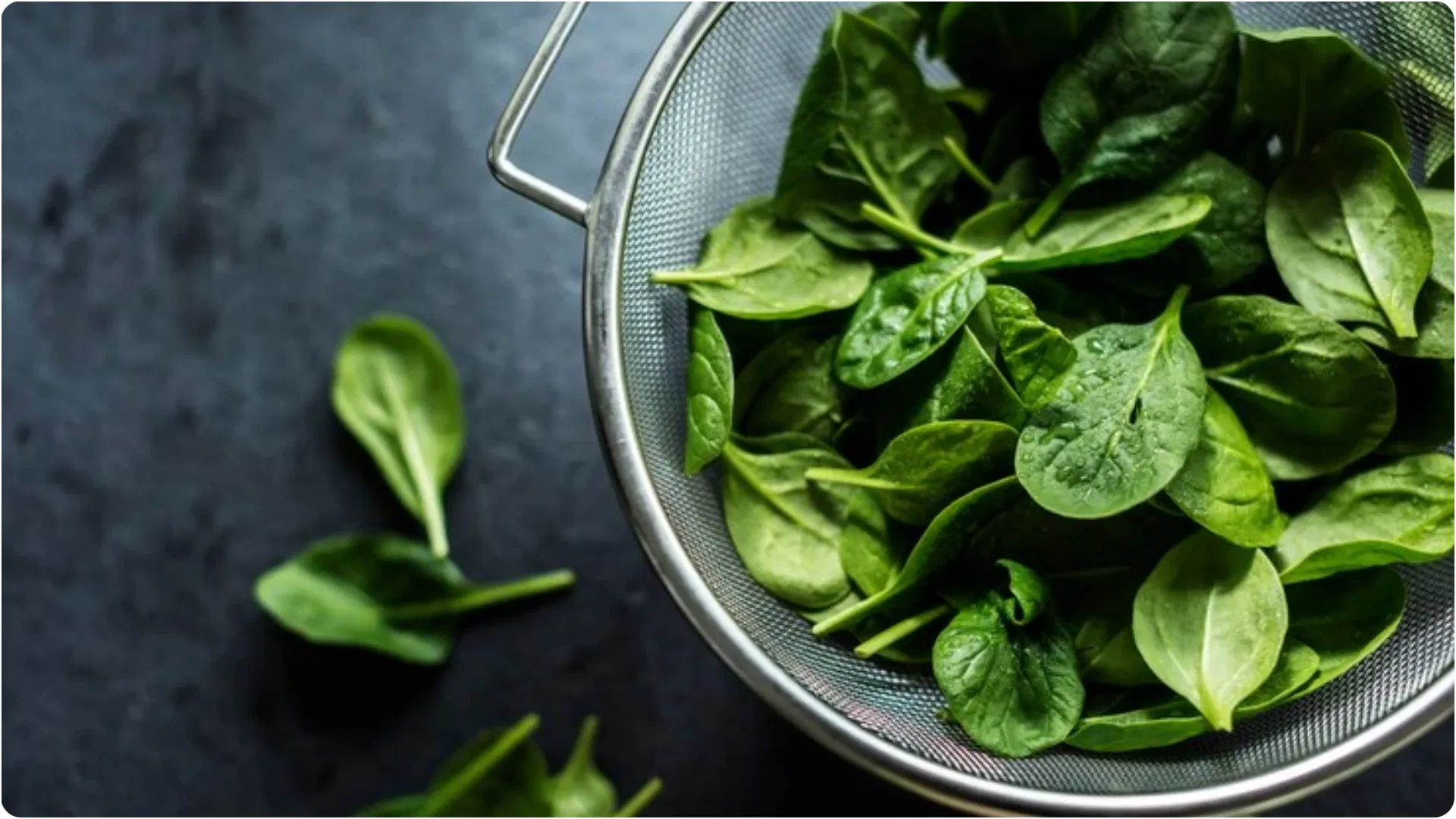 spinach-palak_12554766c8112724c67ec6aa1e4f5b81