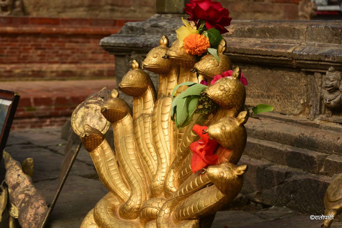 sriniwas sihshan (9)