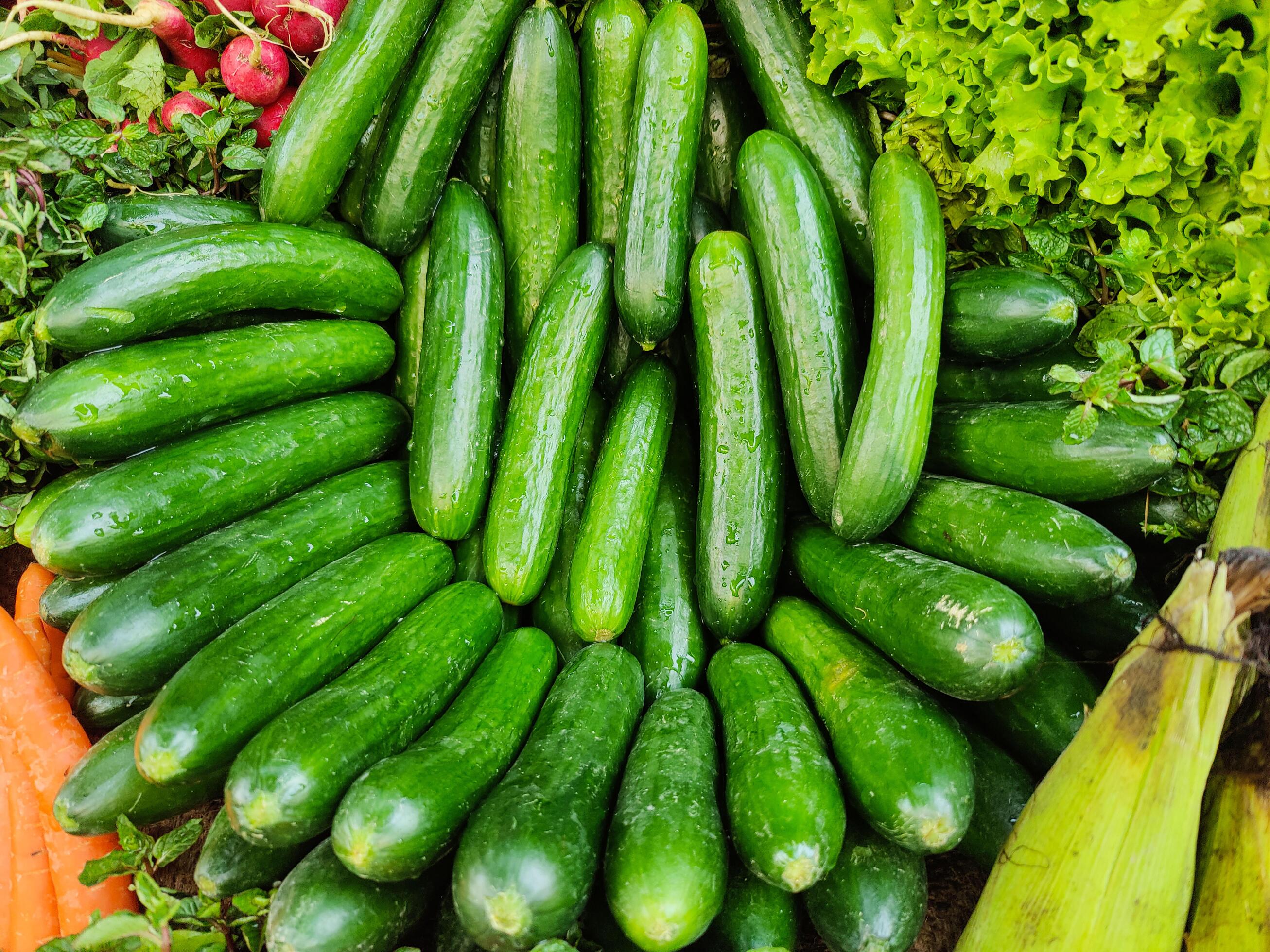 stall-of-cucumber-on-market-place-cucumber-stall-green-cucumber-healthy-eating-food-free-photo