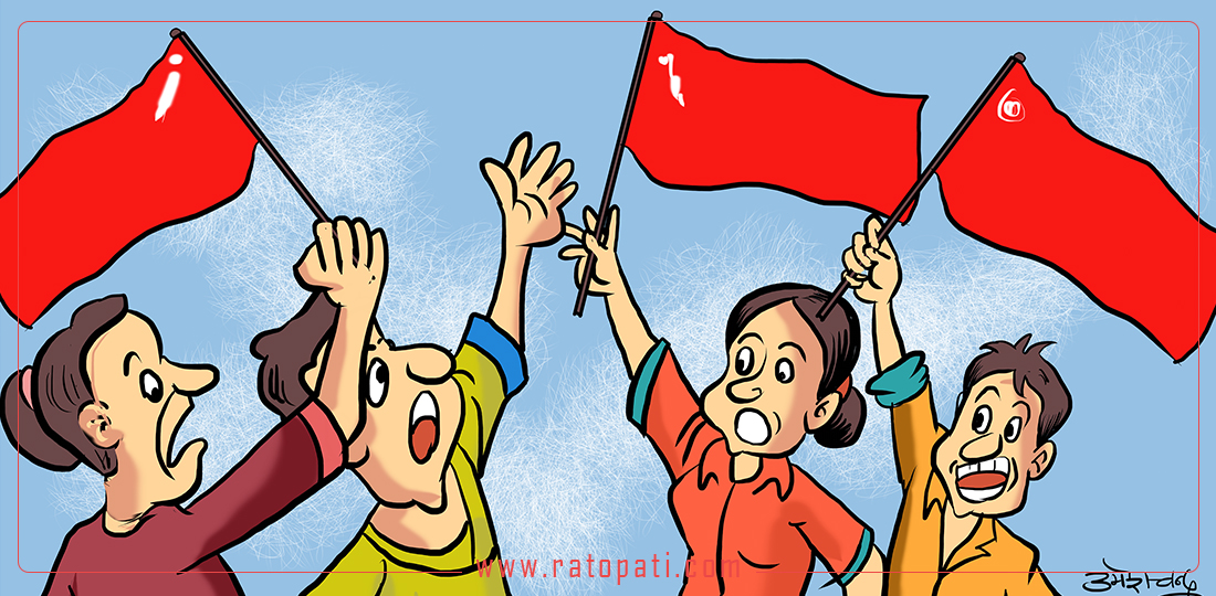 आरआर, पाटन र नेपाल कमर्स क्याम्पसमा तत्काल स्ववियु निर्वाचन गर्न अदालतको आदेश
