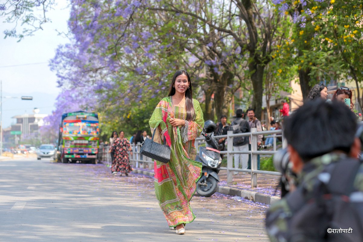 Subaas_Jacaranda Blossoms Blanket Streets of Lalitpur as Kathmandu Valley Enters Peak Bloom Season-9