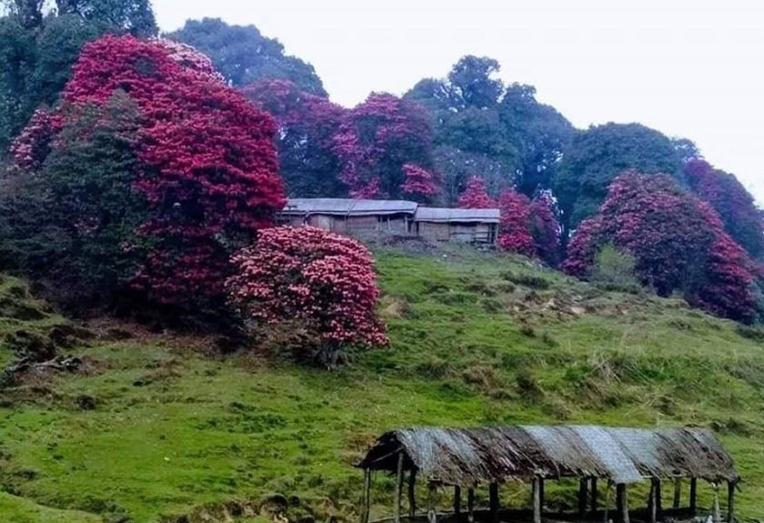 सुकाधापमा पर्यटक भित्र्याउन महोत्सव