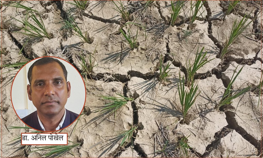   लामो खडेरी, धान र जमिन व्यवस्थापन