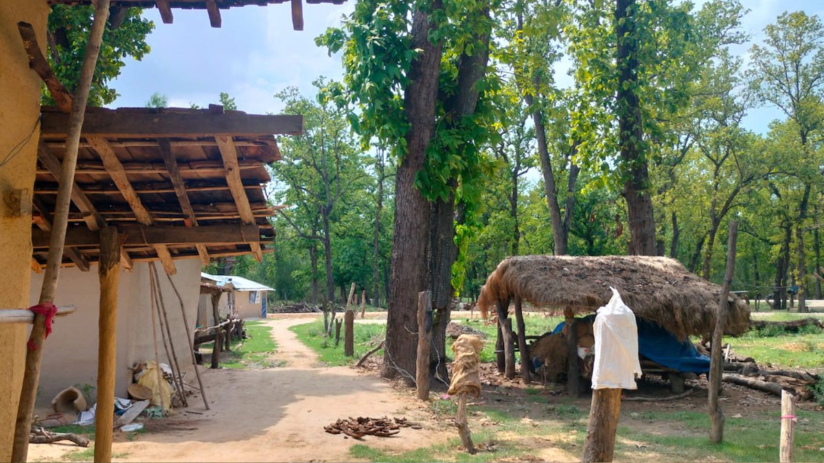 sukumbasi (1)