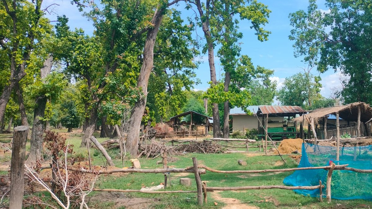 sukumbasi (2)