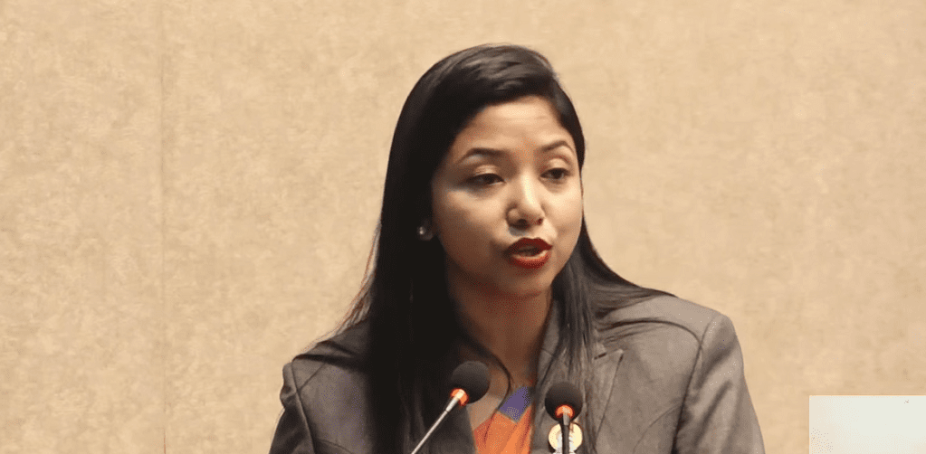 Kathmandu Metropolitan City to Provide Concessional Loans for Youth Employment