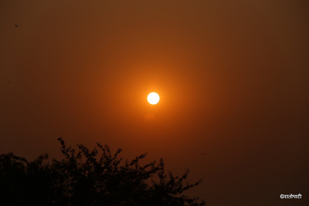 sunrise (17)